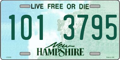 NH license plate 1013795