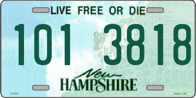 NH license plate 1013818