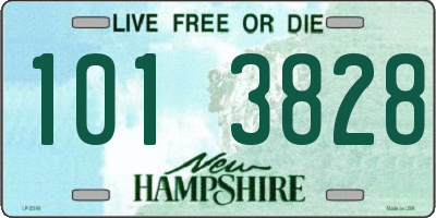 NH license plate 1013828