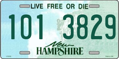 NH license plate 1013829