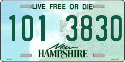 NH license plate 1013830