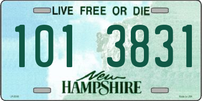 NH license plate 1013831