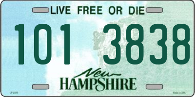 NH license plate 1013838