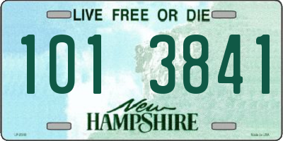 NH license plate 1013841