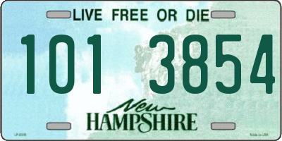 NH license plate 1013854