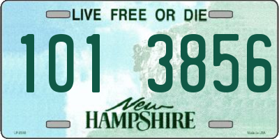 NH license plate 1013856