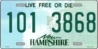 NH license plate 1013868