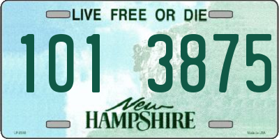 NH license plate 1013875
