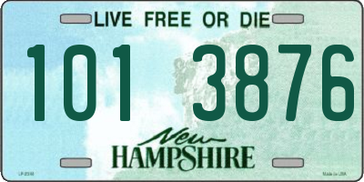 NH license plate 1013876