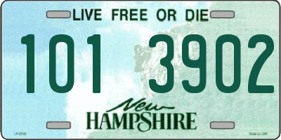 NH license plate 1013902