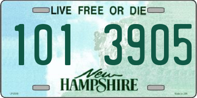 NH license plate 1013905