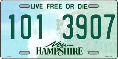 NH license plate 1013907