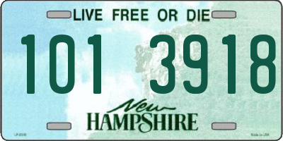 NH license plate 1013918
