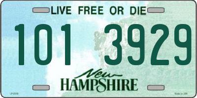 NH license plate 1013929