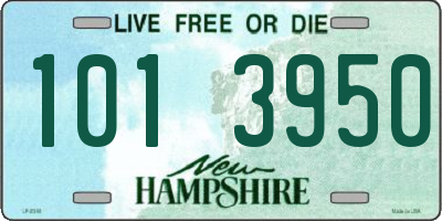 NH license plate 1013950