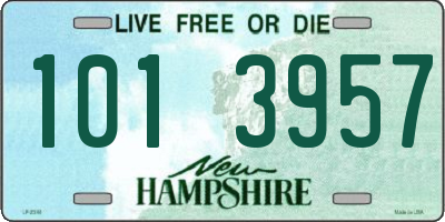 NH license plate 1013957