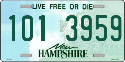 NH license plate 1013959