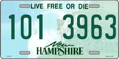 NH license plate 1013963