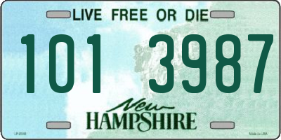 NH license plate 1013987