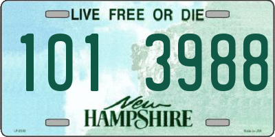 NH license plate 1013988