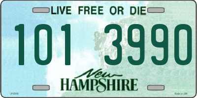 NH license plate 1013990