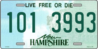 NH license plate 1013993
