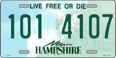 NH license plate 1014107