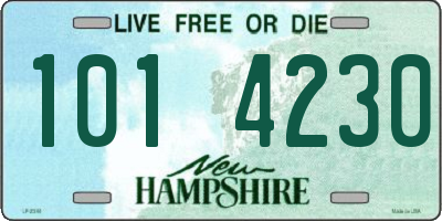 NH license plate 1014230