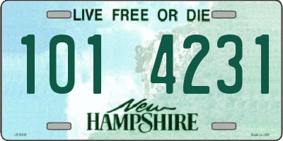 NH license plate 1014231