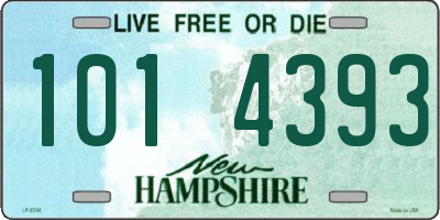 NH license plate 1014393