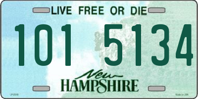 NH license plate 1015134