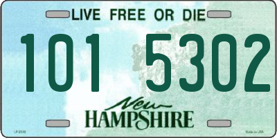 NH license plate 1015302