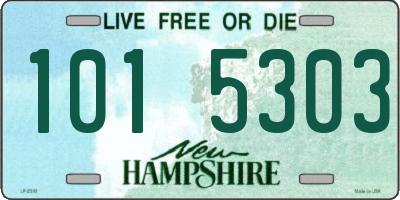 NH license plate 1015303