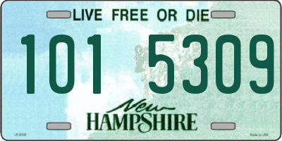 NH license plate 1015309