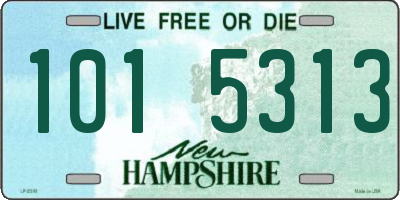 NH license plate 1015313