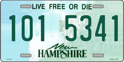 NH license plate 1015341