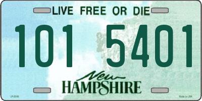 NH license plate 1015401