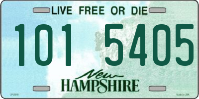 NH license plate 1015405