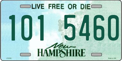 NH license plate 1015460