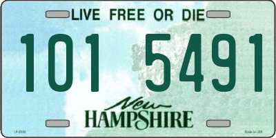 NH license plate 1015491