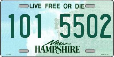 NH license plate 1015502