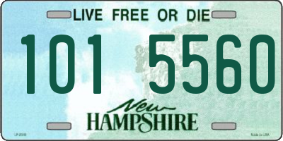 NH license plate 1015560