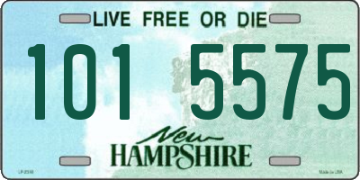 NH license plate 1015575