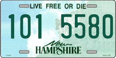 NH license plate 1015580