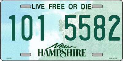 NH license plate 1015582