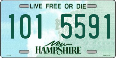 NH license plate 1015591