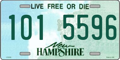 NH license plate 1015596