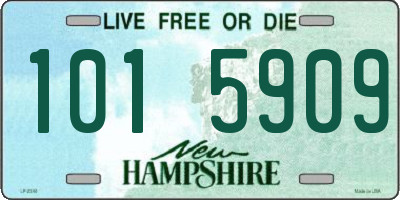 NH license plate 1015909