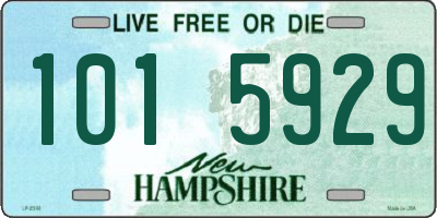NH license plate 1015929