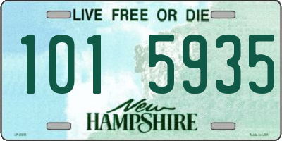 NH license plate 1015935